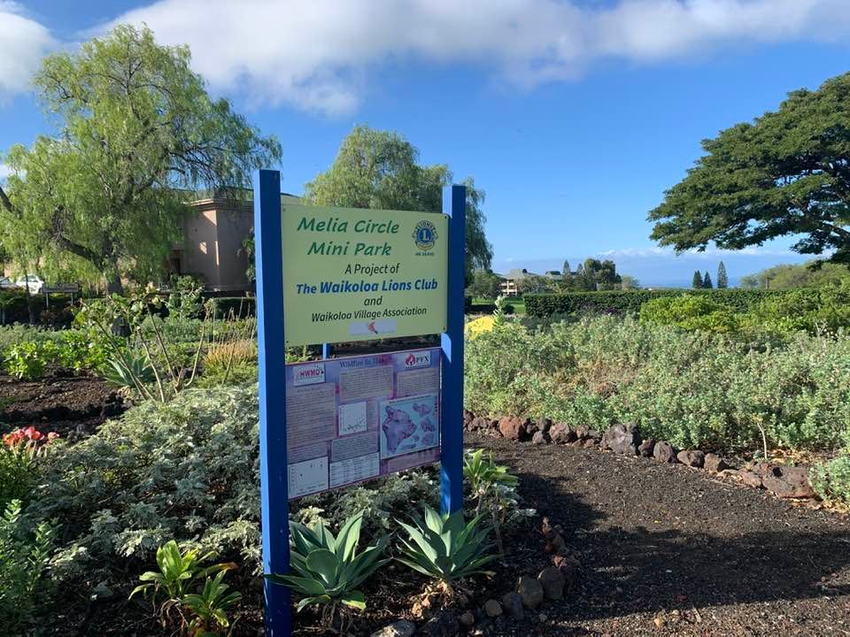 Melia Circle Park Cleanup