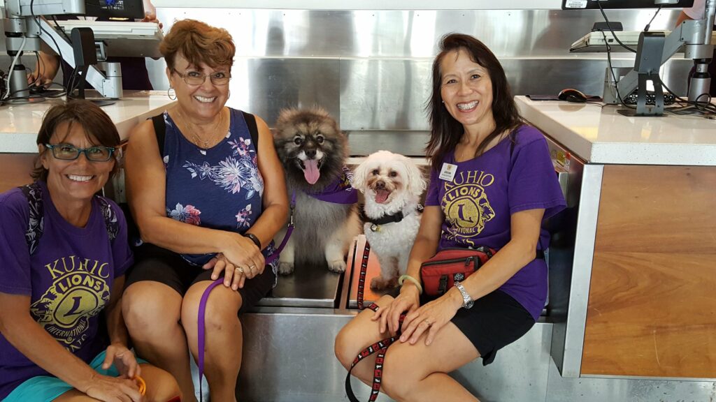 Wag's of Aloha Therapy Dog program at the Daniel K Inouye International Airport