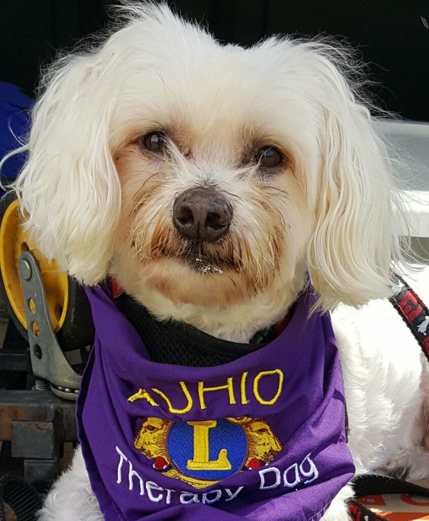 Wag's of Aloha Therapy Dog program