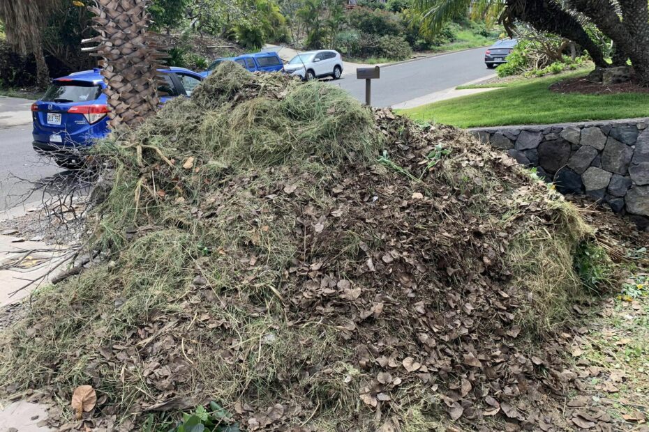 Waikoloa Lions Cleanup